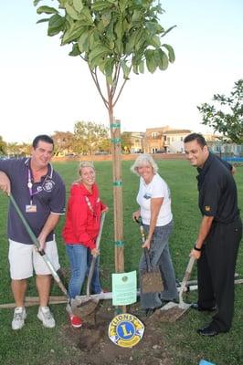 Seal Beach Lions Planting Trees