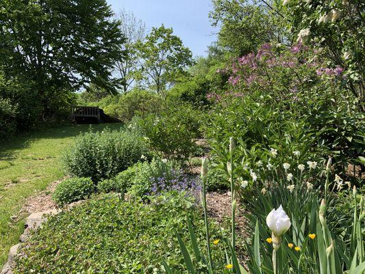 Another bench shaded near this floral patch.