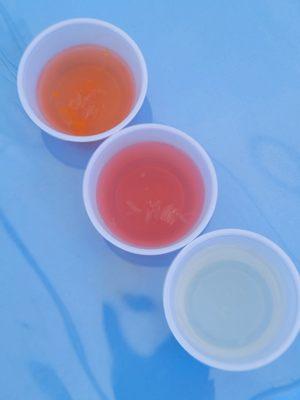 Lemonade Sampler