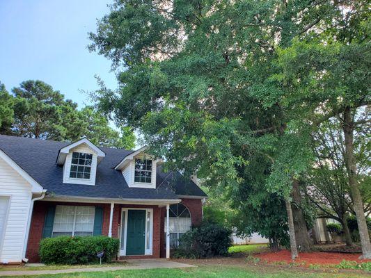 2 trees need branches trimmed back from the roof