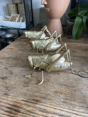 I forgot to take more pictures but aren't these golden grasshoppers great?