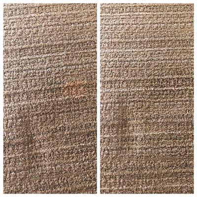 Bleach Spot on carpet!Spot Dye Repair!