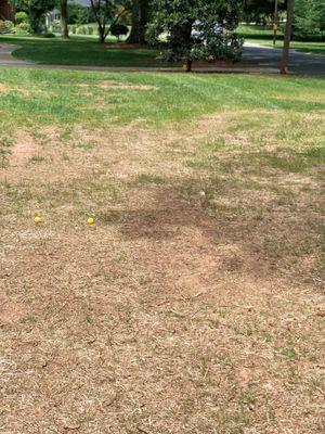 The result of 3 months of Lawn Maintenance from Ancient Oak.