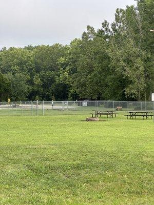 Dog run in public fire pit