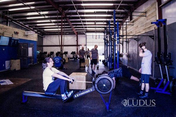 CrossFit Ludus