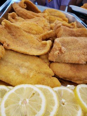 Fried Catfish