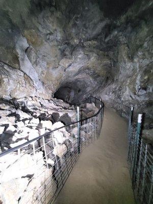 Cave walk, ceilings are about 50ft!