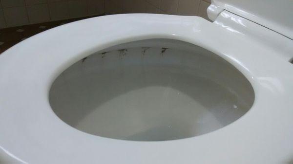 Nasty cleaning job of toilet