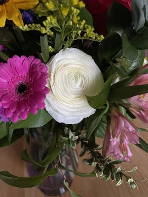 A mesmerizing white rose with a beautiful aroma!!