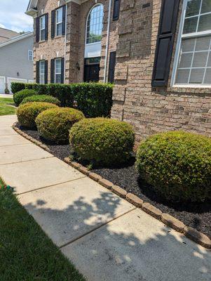 Greens Landscaping Cleaning