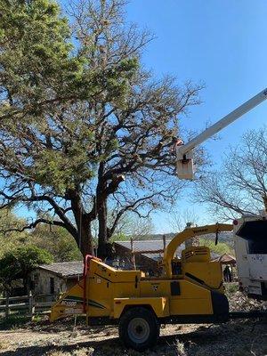 Sawyer Tree Service