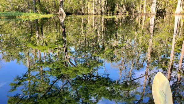 Calm water, beautiful reflections.