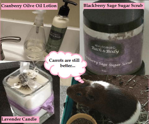 What's up with the guinea pig? http://shineandsparklereport.blogspot.com/2014/02/ssr-product-reviews-healdsburg-bath-and.html