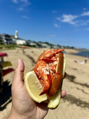 Warm lobster roll