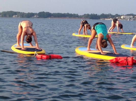 The Endless SUP Company - Belmar