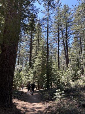 Hiking next to the water