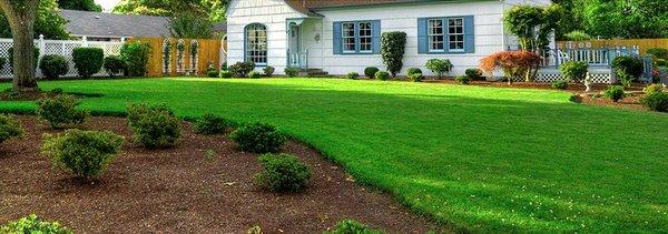 Precision Lawn Maintenance