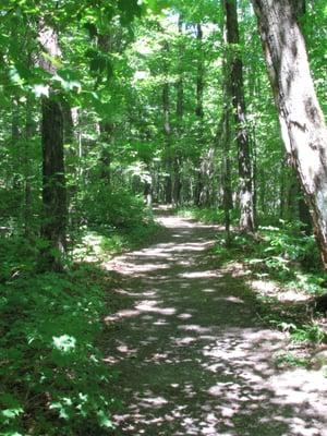 An improved trail leads up to the summit.