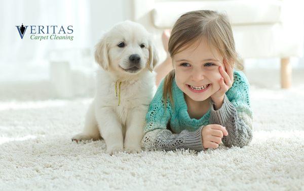 Veritas Carpet Cleaning