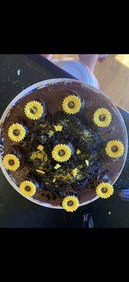 Sunflower Cake