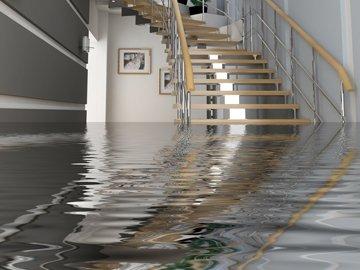 Make sure this never happens with our waterproofing service!