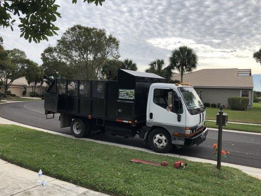 Javier brought shrubs and sod, taking away all of our rubbish