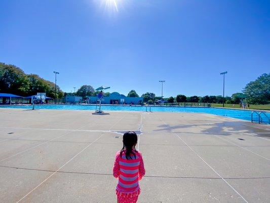 Birdland Pool