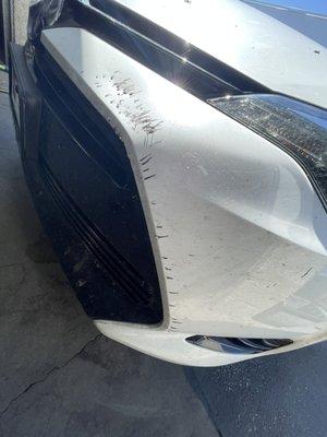 dog-eaten bumper before repair