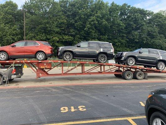 Professional car hauling