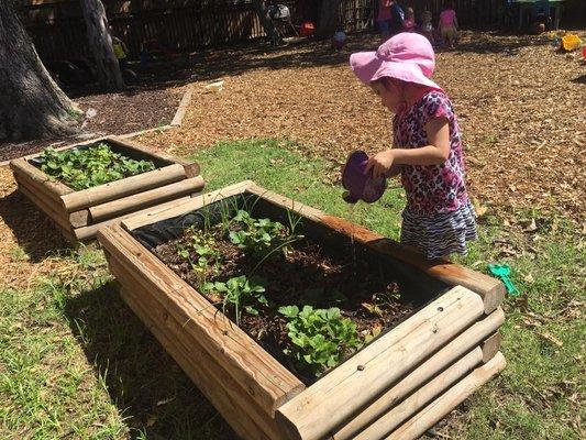 Children learn about organic gardening.