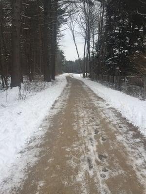 Well maintained pathway during the winter.