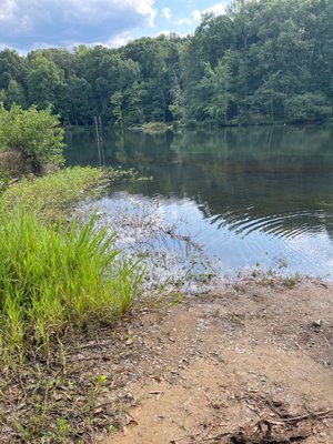 Creek Views