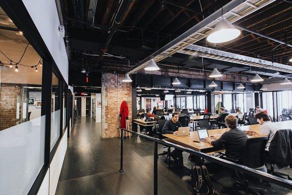 Ask the Egghead - Office Washington, DC Inside WeWork