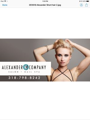 Alexander & Company Salon Spa