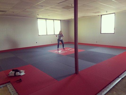 Jiu Jitsu Therapy shared space