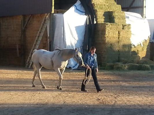 Taking the horse back after the ride.