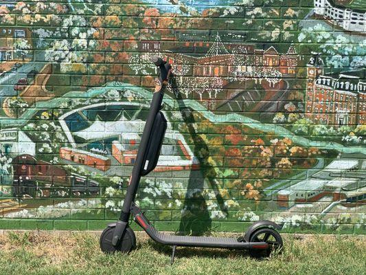 Segway-Ninebot Electric Scooter available for daily rental