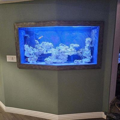 Wall fish tank Richard framed