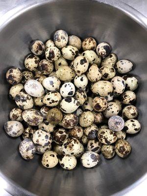 Speckled Eggs © Daniel Cahall 2020