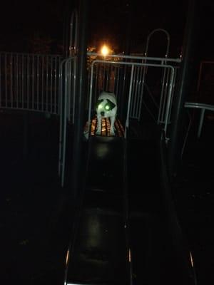 Our doggie on the jungle gym