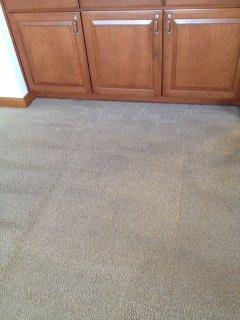 Before & After Carpet Cleaning in Bellevue, WA