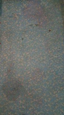 The carpet....ewwww!