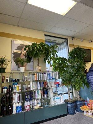 Hair products and money trees in the great cuts lobby