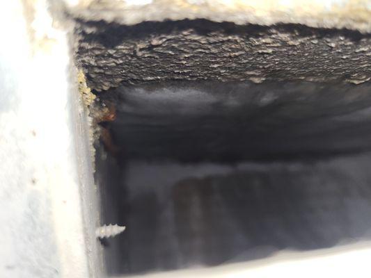 Don't wait for your coils to get plunged before you call for service. Change your filter monthly to avoid this.