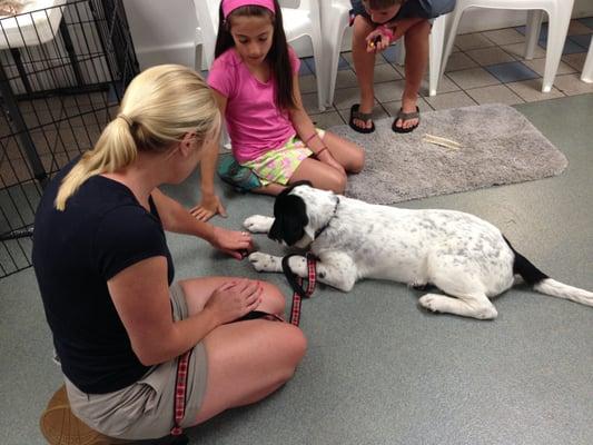 Learning "Leave It" at Puppy Kindergarten