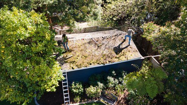 Roof Cleaning + Moss Removal Treatment