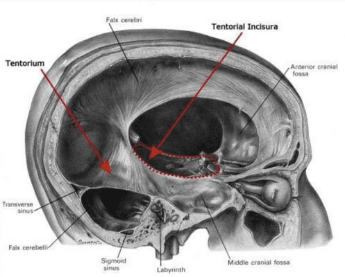 Integrative Manual Therapeutics