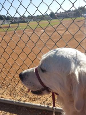 Lola's taking in the game too