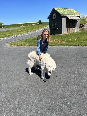 The cute farm dog greeted us at our car!