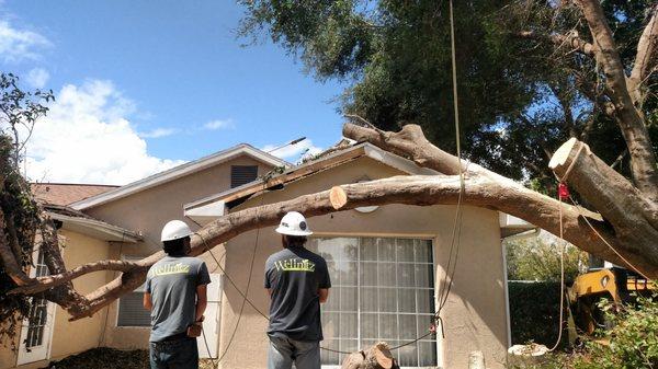 Storm damage clean up.